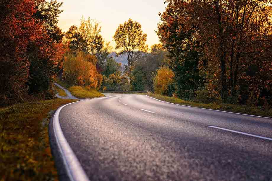 A rural road where you could find wildlife on the roads